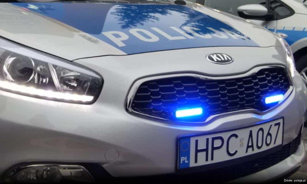 Wspólne działania policji i straży leśnej w walce z kradzieżą drewna przed świętami